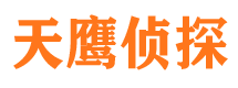 凤城市私家侦探